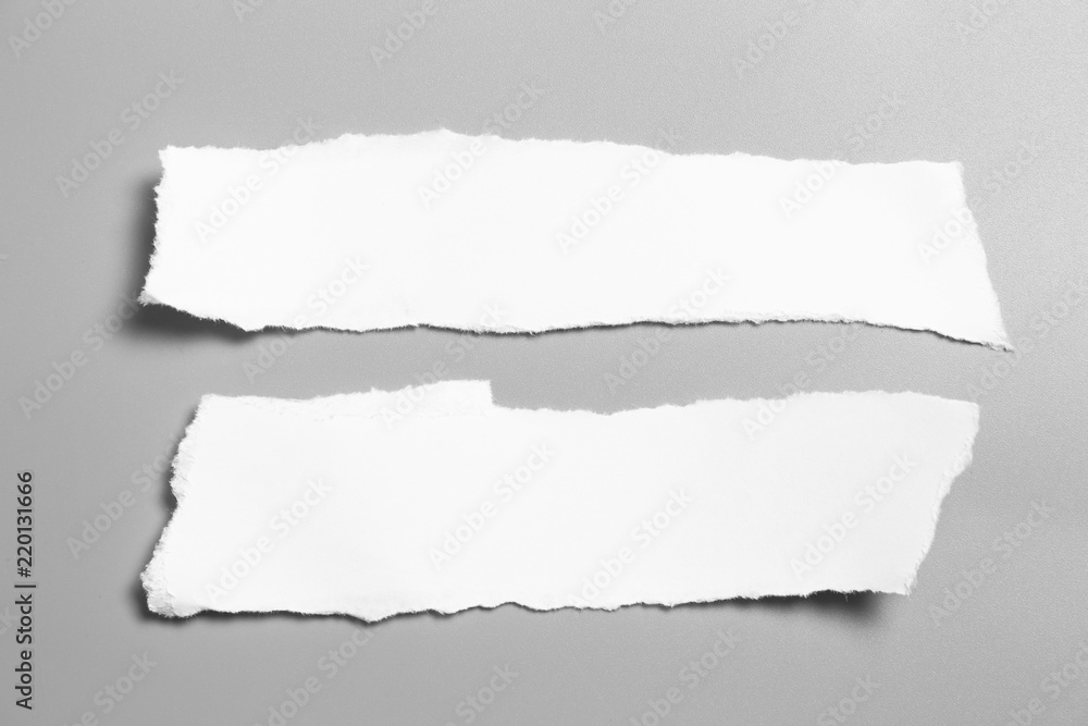 Fototapeta premium white torn paper on gray background. collection paper rip