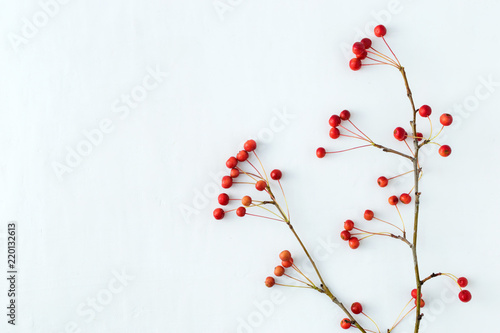 Branches with small red apples on a white background