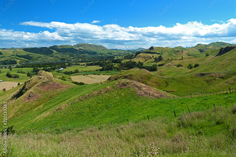 Obraz premium North Island treeless landscape, New Zealand