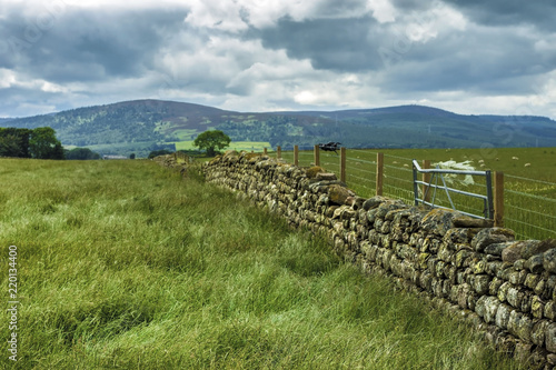 Aberdeenshire, Scotland, UK.  Beautiful  rural landscape. photo