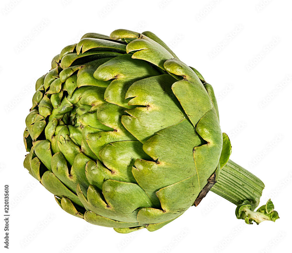 Obraz premium Fresh artichoke isolated on white background with clipping path