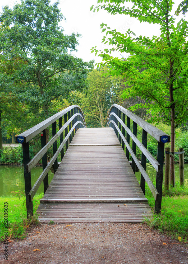 Bridge At Haagse Bos, The Hague, The Netherlands