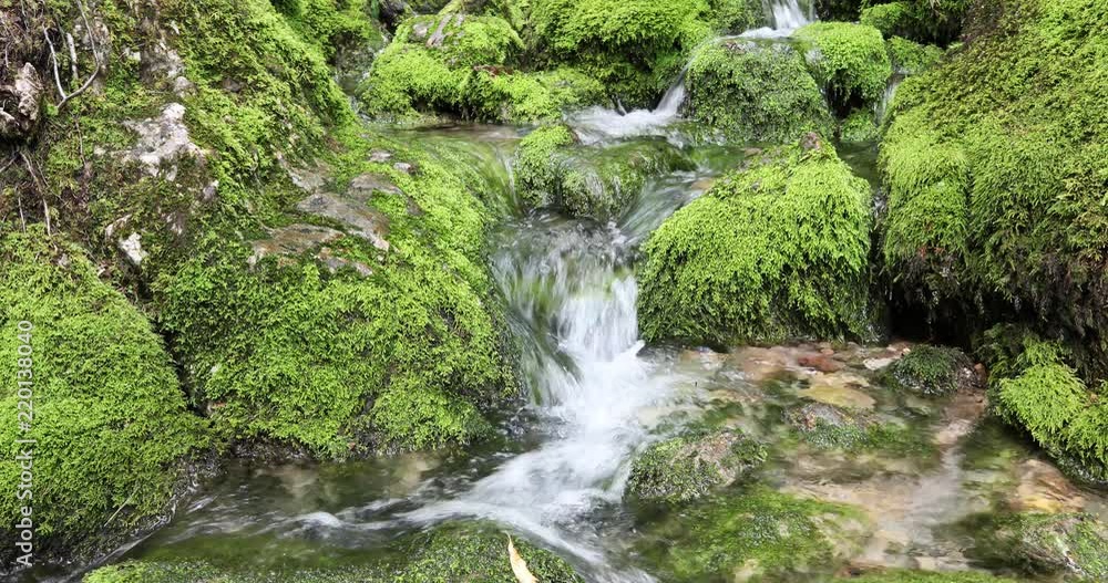Beautiful mossy stones with stream. Beautiful mossy stones with stream.