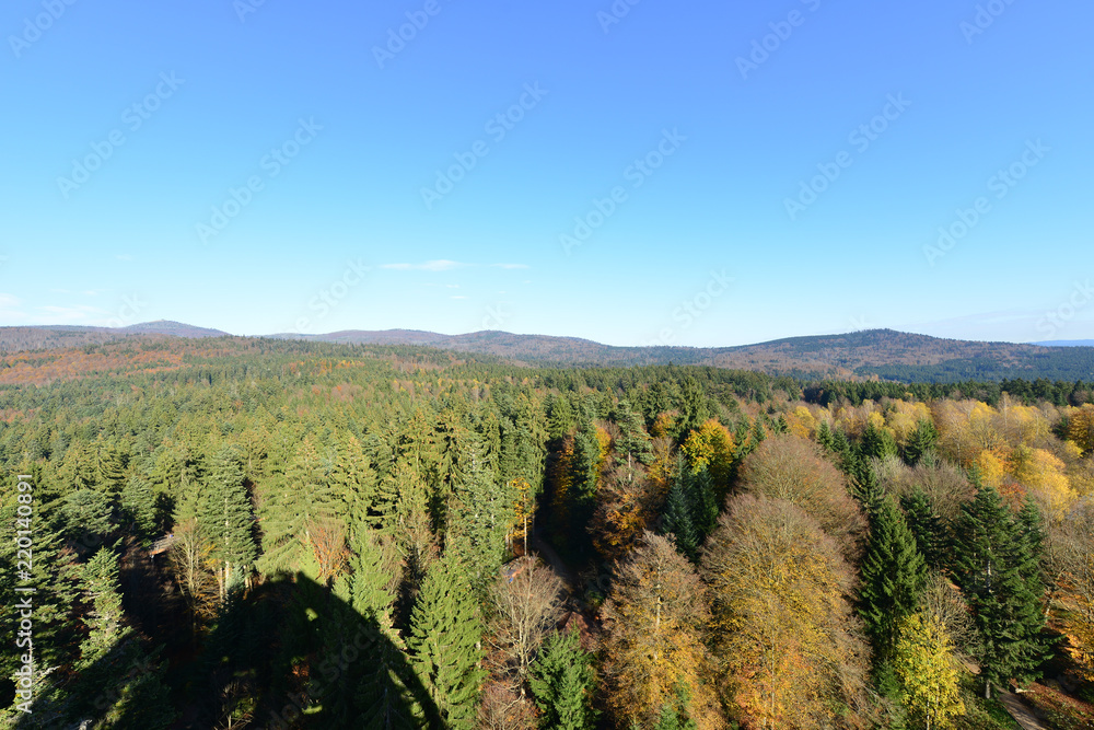 Ausblick über den Bayerischen Wald