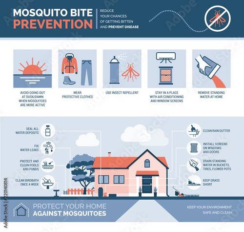 Fototapeta Naklejka Na Ścianę i Meble -  Mosquito bite prevention infographic