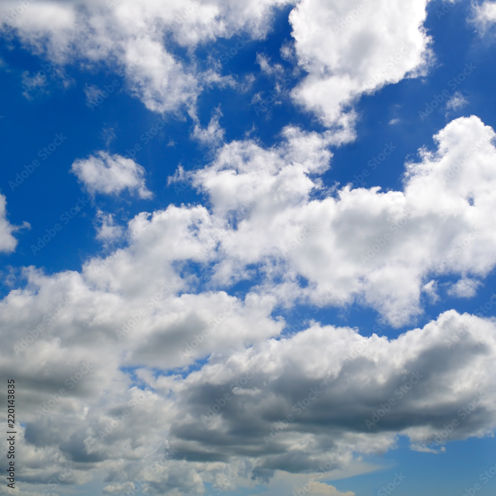 Fototapeta premium Light cumulus clouds in the blue sky.