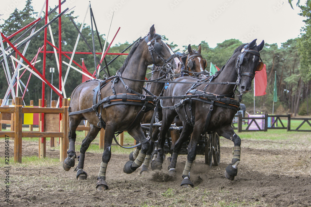 Hindernis nemen met 4-span Hindernis nemen met 4-span