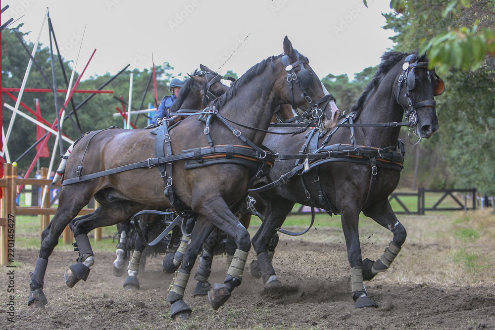 4-span neemt bocht in hindernis 4-span neemt bocht in hindernis