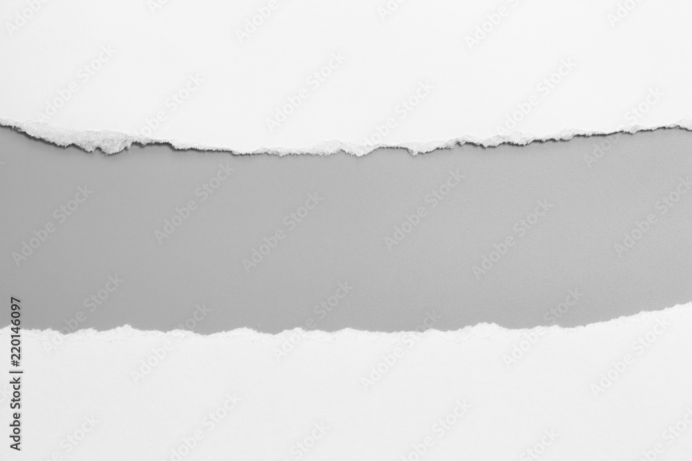 white torn paper on gray background. collection paper rip white torn paper on gray background. collection paper rip