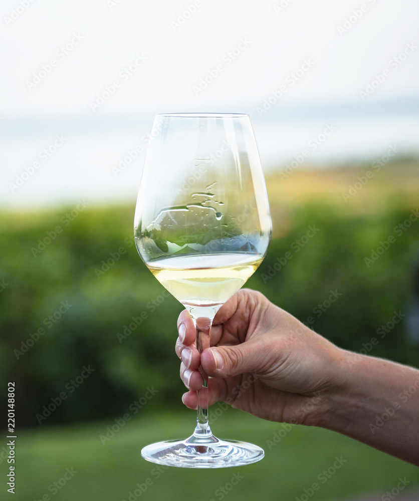 Glass of vine with lake Balaton in the background