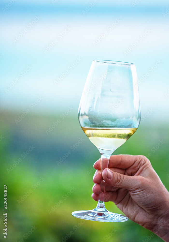 Glass of vine with lake Balaton in the background