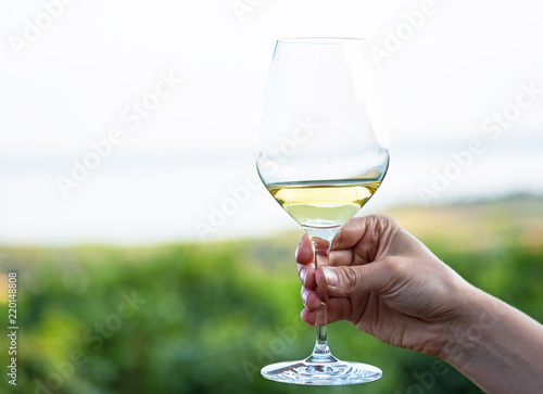 Glass of vine with lake Balaton in the background