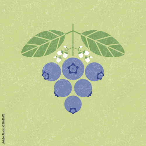 Blueberries illustration. Blueberry with leaves and flowers on shabby background. Flat design. Original simple flat illustration.