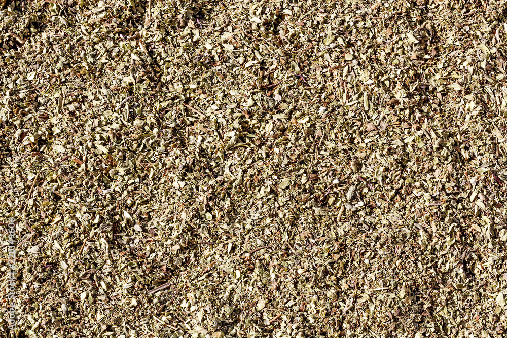 Oregano Oregano