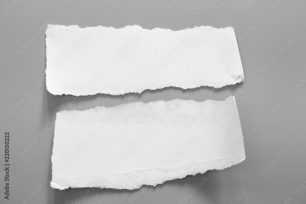 Fototapeta premium white torn paper on gray background. collection paper rip