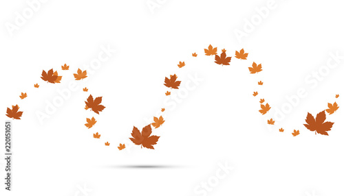 foglie, autunno, foglie secche,