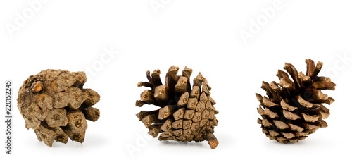 Set of cones close-up on white background.