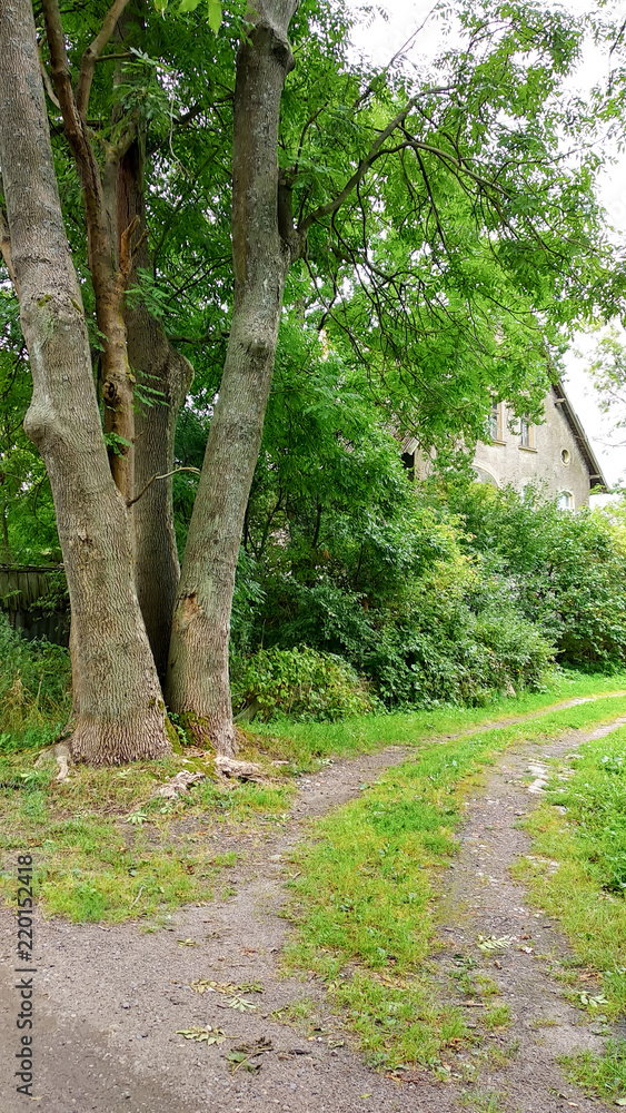 A house in the country surrounded by trees A house in the country surrounded by trees