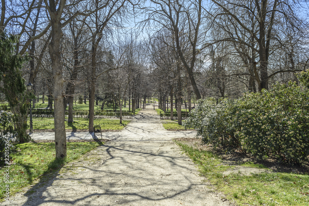 view of the interior of the public park of El Buen Retiro in Madrid, Spain