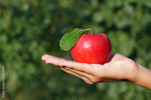 Red apple with leaf in hand on green natural background