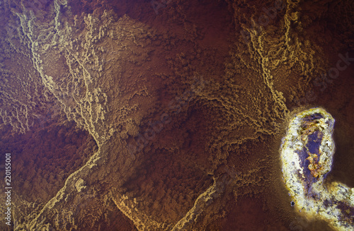 Fototapeta Naklejka Na Ścianę i Meble -  Rock covered with mosses and microorganism