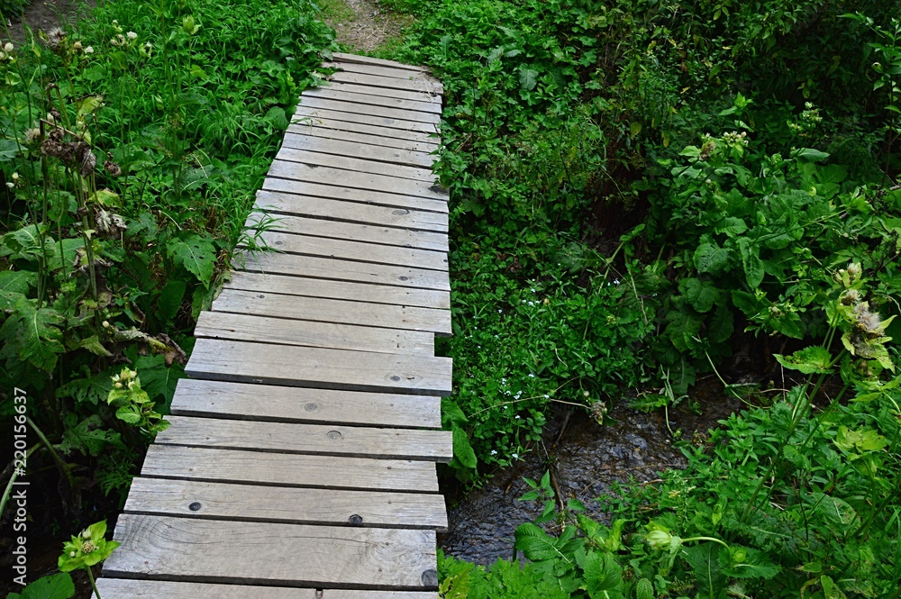 Wooden plank bridge across small stream in central European forest during summer season Wooden plank bridge across small stream in central European forest during summer season