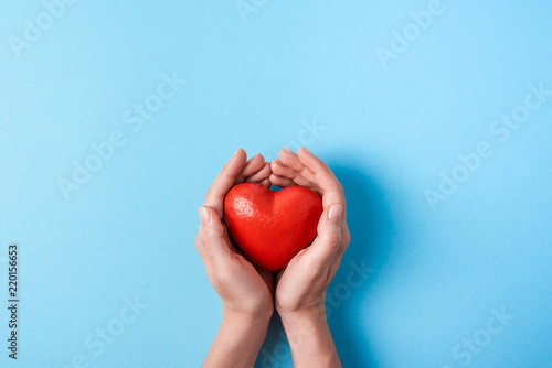 the big red heart in women's hands isolated on a blue background. Top view. Copy space