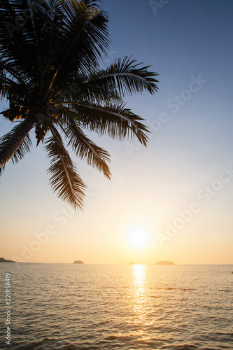 Palm tree on a tropical seaside during amazing sunset.