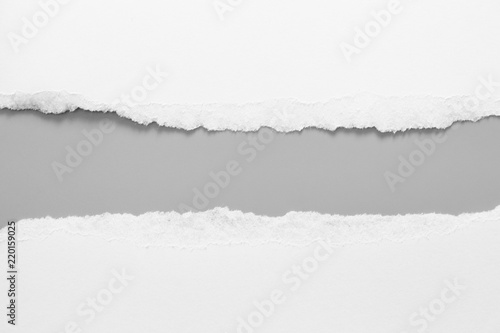 Canvas white torn paper on gray background. collection paper rip