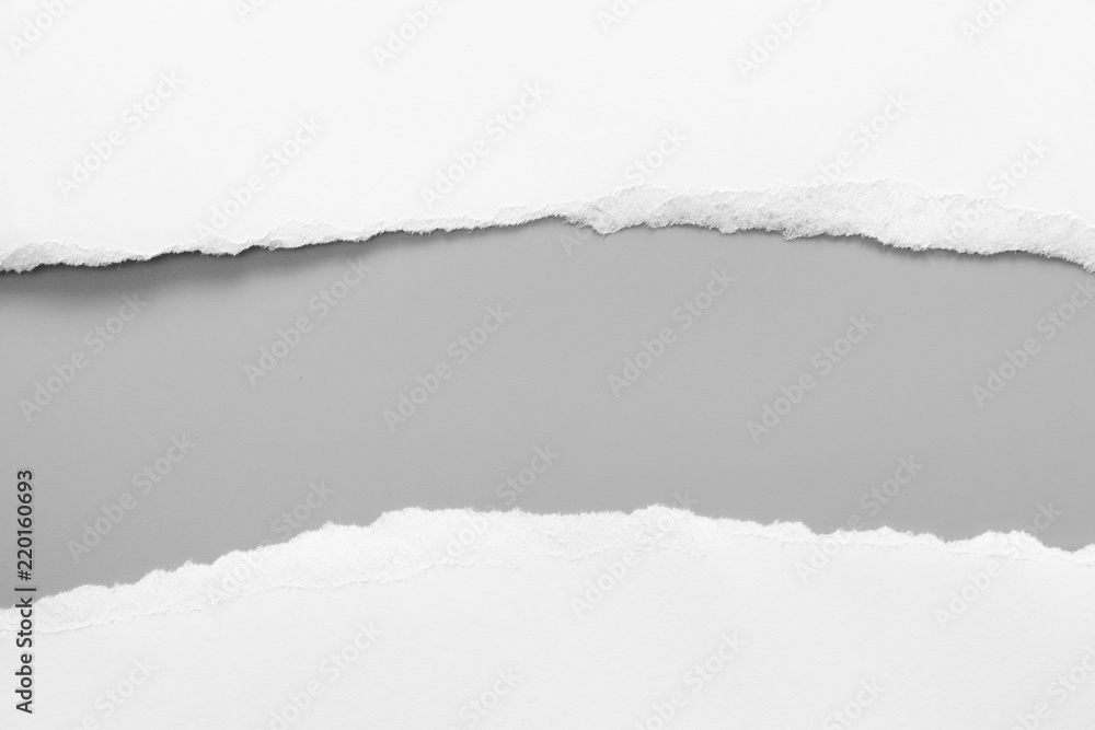 white torn paper on gray background. collection paper rip white torn paper on gray background. collection paper rip