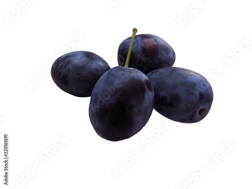 blue plum isolated