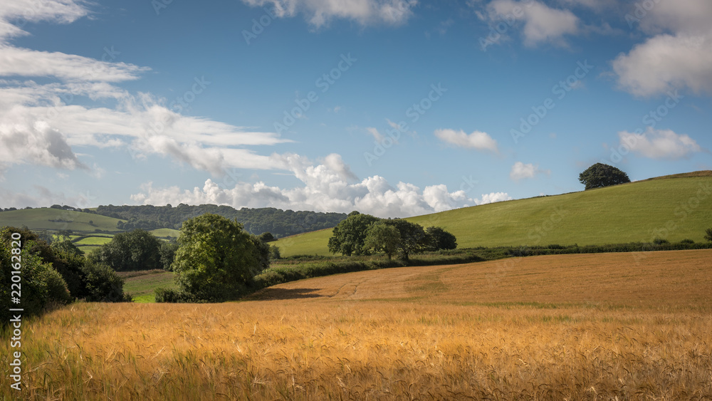 Rural English countryside