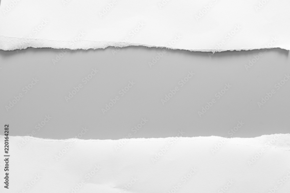 white torn paper on gray background. collection paper rip white torn paper on gray background. collection paper rip