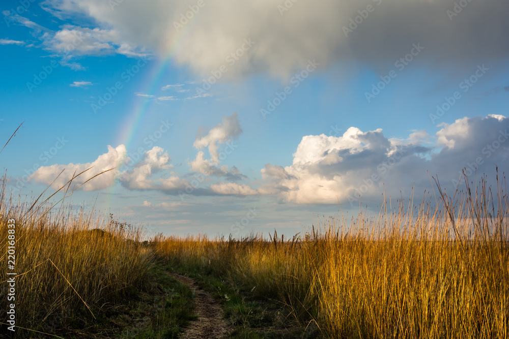 Rainbow grass and clouds path