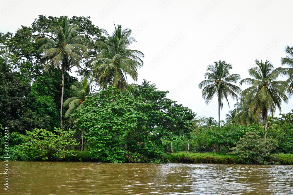 navigating by river navigating by river
