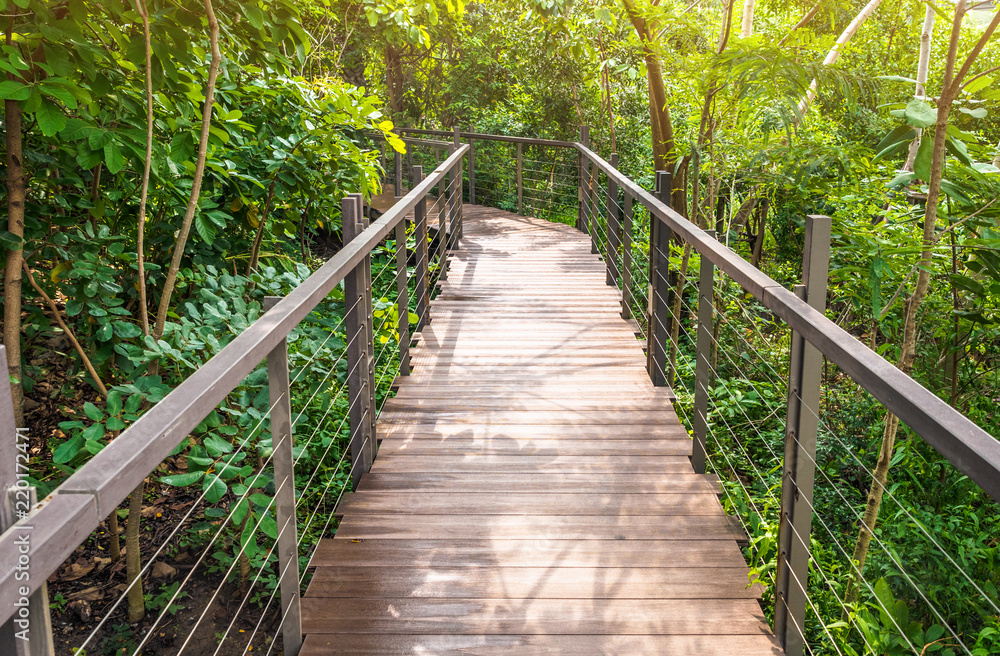 Wooden bridge in deep forest and sunset natural background Wooden bridge in deep forest and sunset natural background