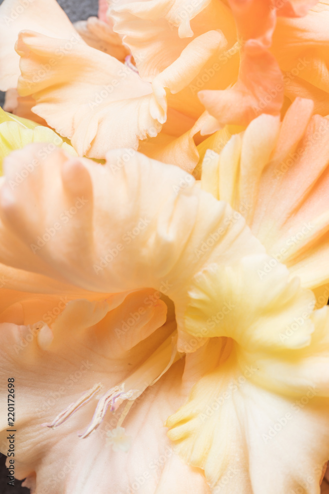 Background of pale orange  Gladiolus flowers, macro, close up, vertical composition