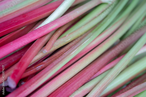 Fresh Cut Rhubarb