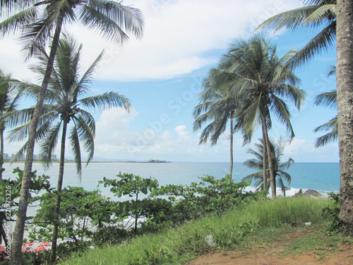 Praia e natureza