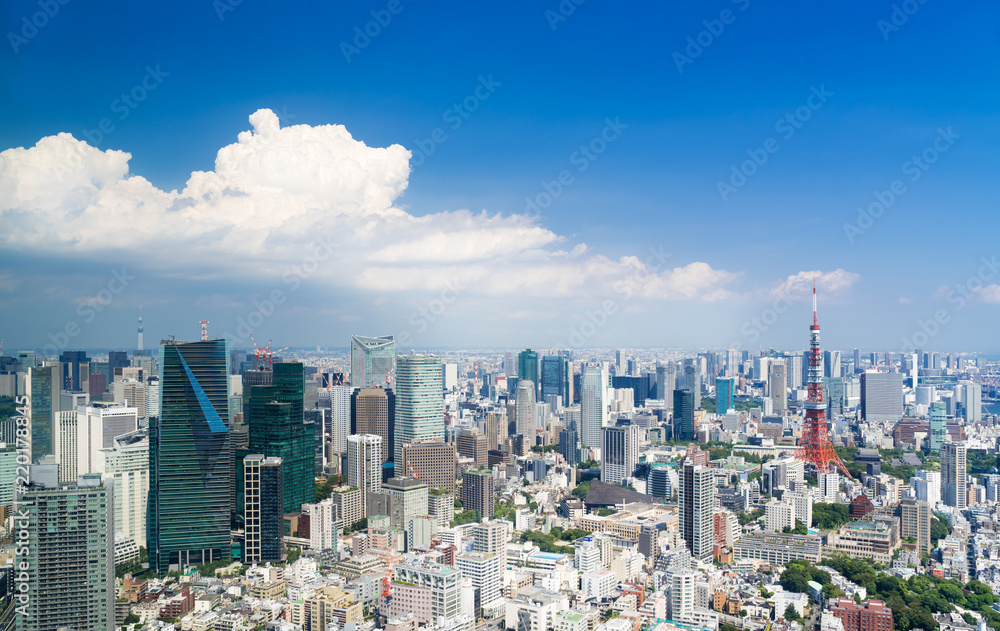 東京風景 夏 東京タワーと東京スカイツリーを望む 入道雲 Stock Photo Adobe Stock 東京風景 夏 東京タワーと東京スカイツリーを望む 入道雲 Stock Photo Adobe Stock