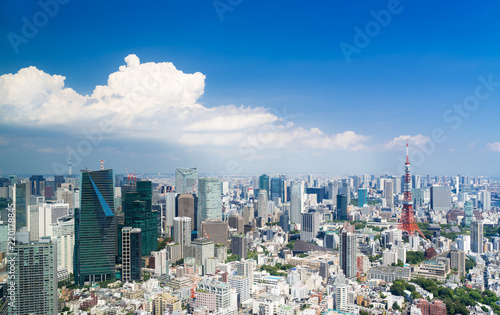 東京風景 夏 東京タワーと東京スカイツリーを望む 入道雲 Stock Photo Adobe Stock