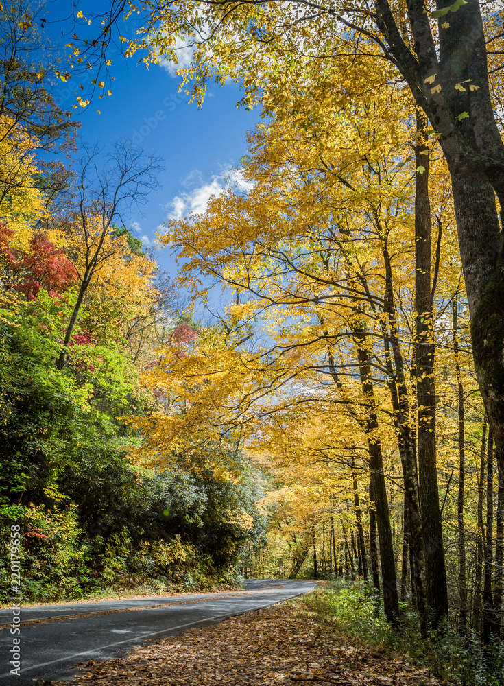 Scenic highway cuts through Pisgah Forest in Autumn.