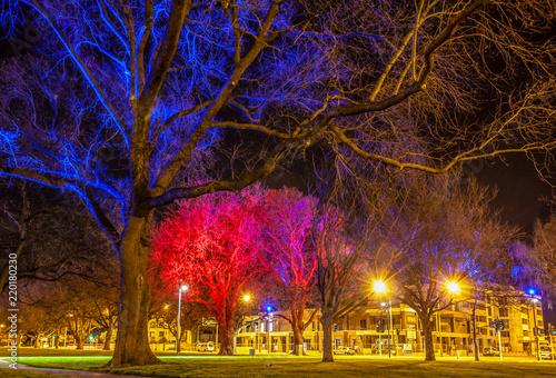 Latimer Square lights in Christchurch shine brightly at night