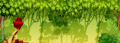 A snake in the jungle