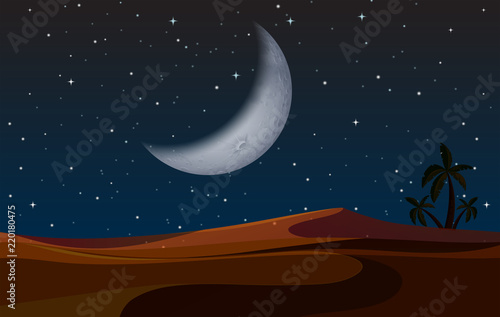 A desert landscape at night