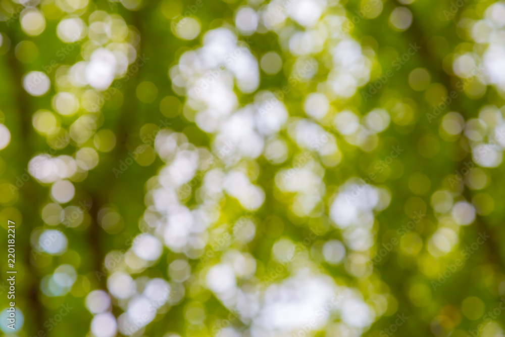 Obraz premium abstract bokeh blur defocus