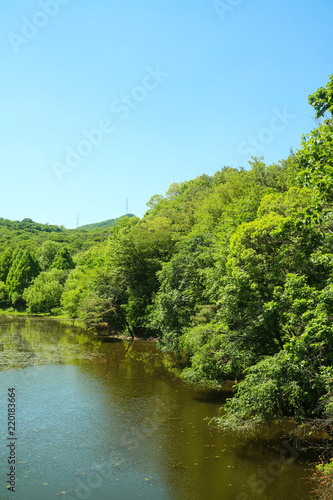 Landscape with lake and mountains