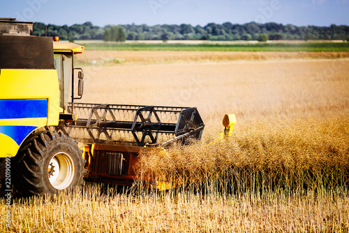 Picture of combine harvester machine harvesting crops