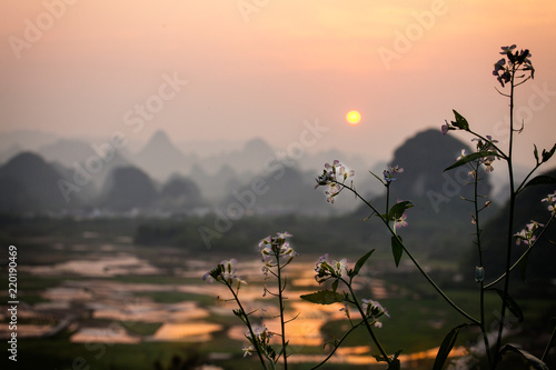 Sunset over rice paddy in Yangshuo China