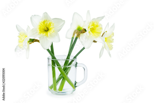 Yellow-white daffodils in glass cup